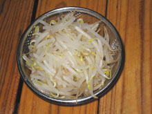 Mung Bean Sprouts